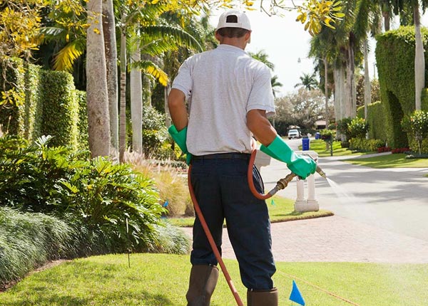 About Klamath CA Pest Control